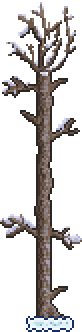 Tree (Snow)