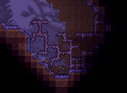 Шипастая колючка из Искажения