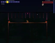 Вот сама арена (Сверху арена для скелетрона прайма)