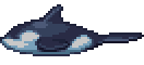 Orca