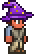 Wizard's Hat (equipped)