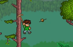 Летучая мышь джунглей в наземных джунглях.