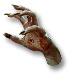 Останки трупоеда