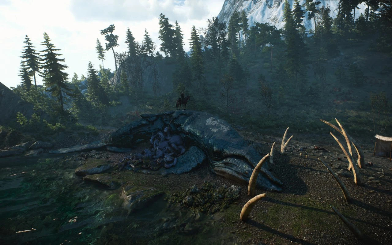 Кладбище китов №6