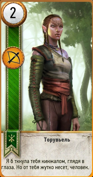 133торувьель