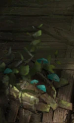 Забытая доска