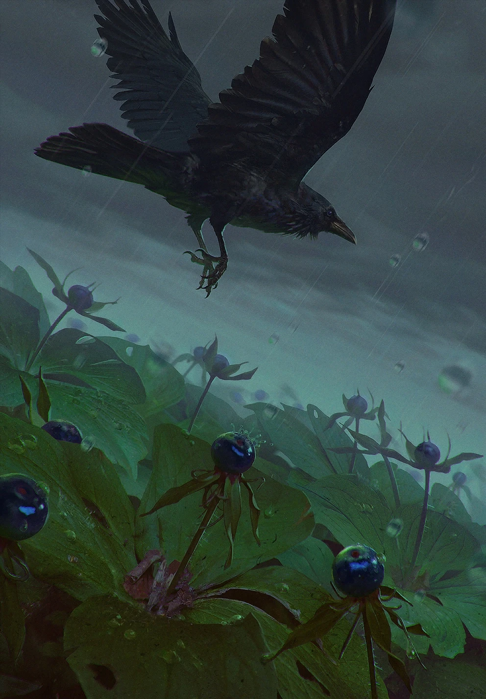 Вороний глаз, 