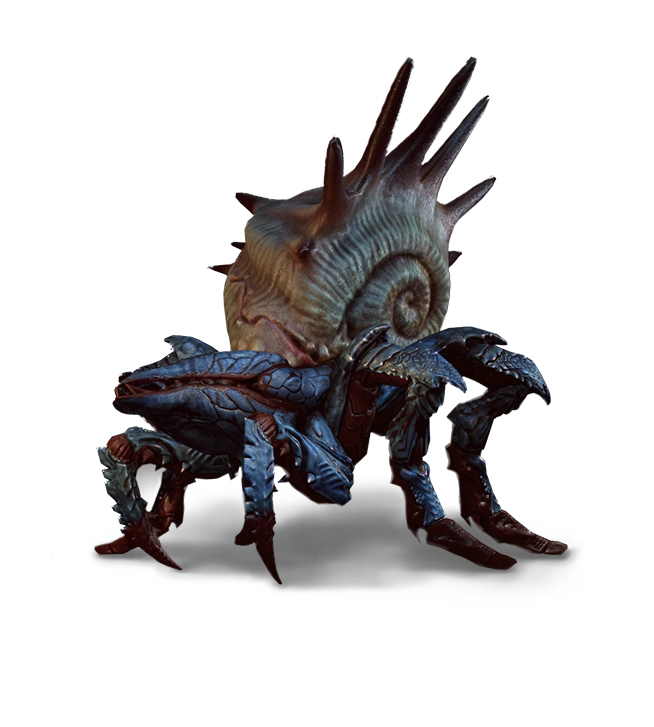 Панцирный главоглаз