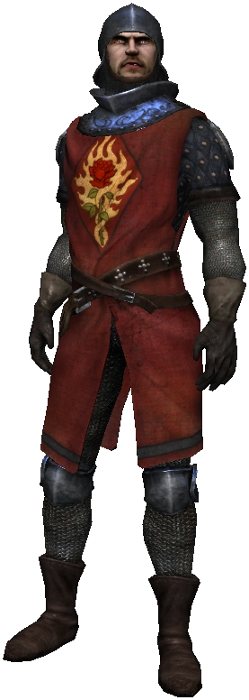 Купец орденаВ1