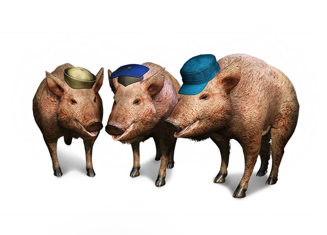 Три поросенкаВ3
