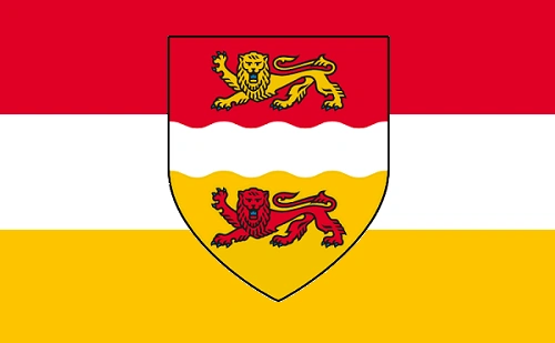 Флаг туссента неоф