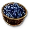 Blueberries