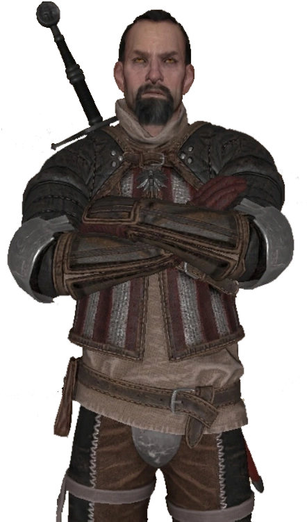 МастерВедьмак2