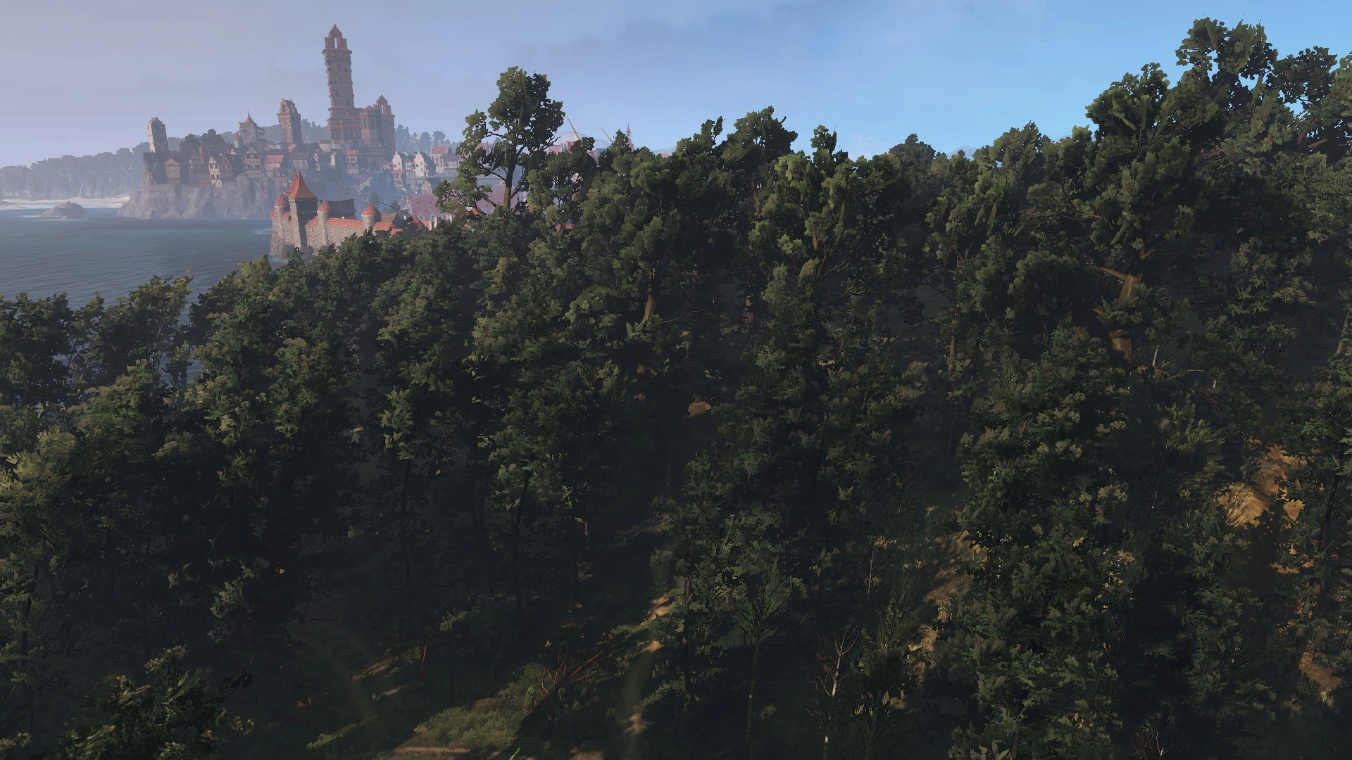 НовиградскаяПущаВ3