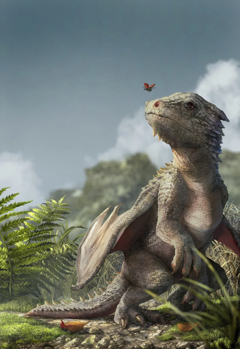 Детёныш дракона, 