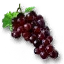 Виноград