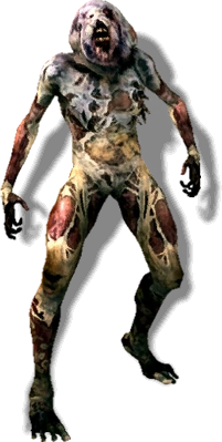 Tw2 journal rotfiend