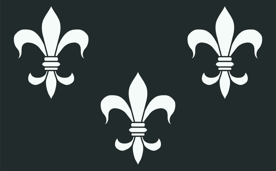 Флаг темерии вар2