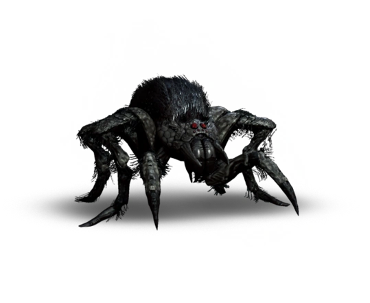 Арахноморф