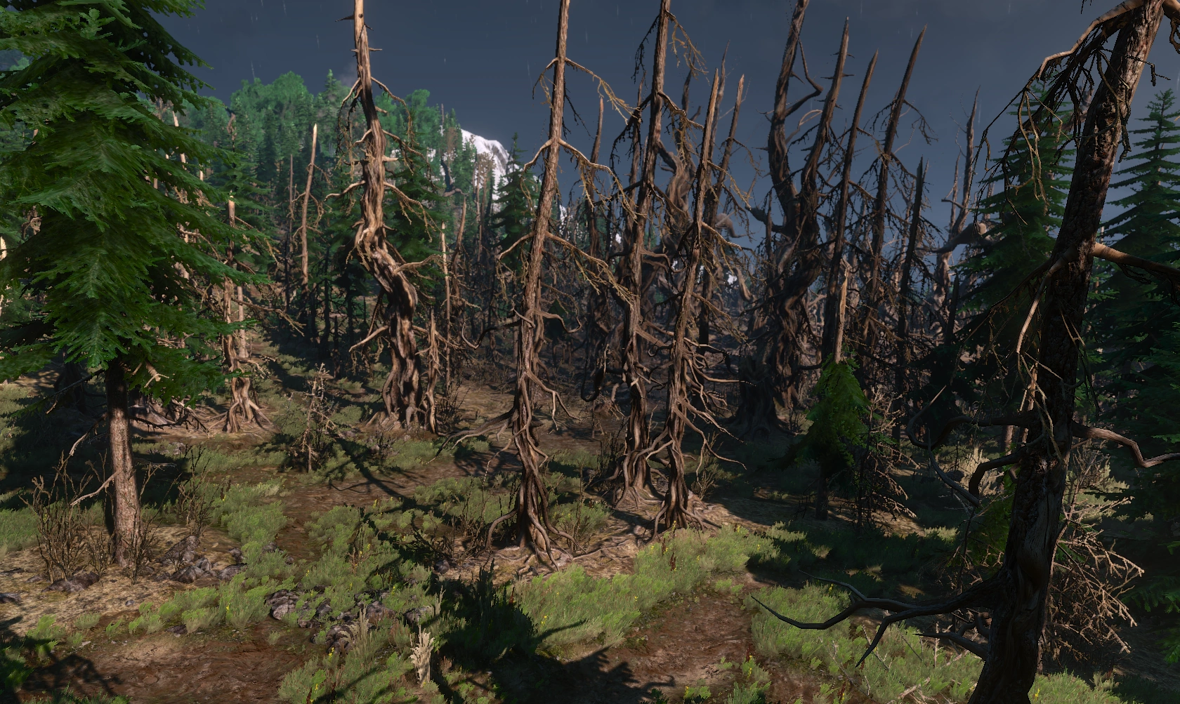 ДревняяПущаАрдСкеллиг3