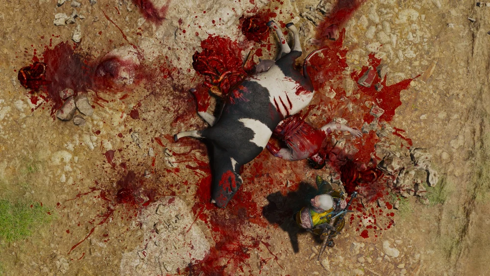 Коровьи лепешки 