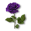 Фиолетовая розаВ3