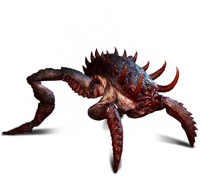 Кикимора рабочийВ3