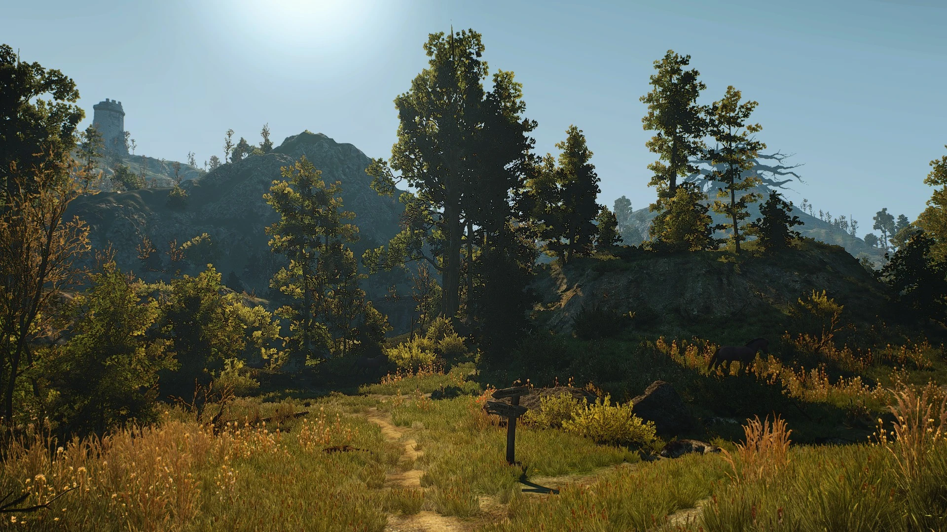 Развилка дорог1 велен