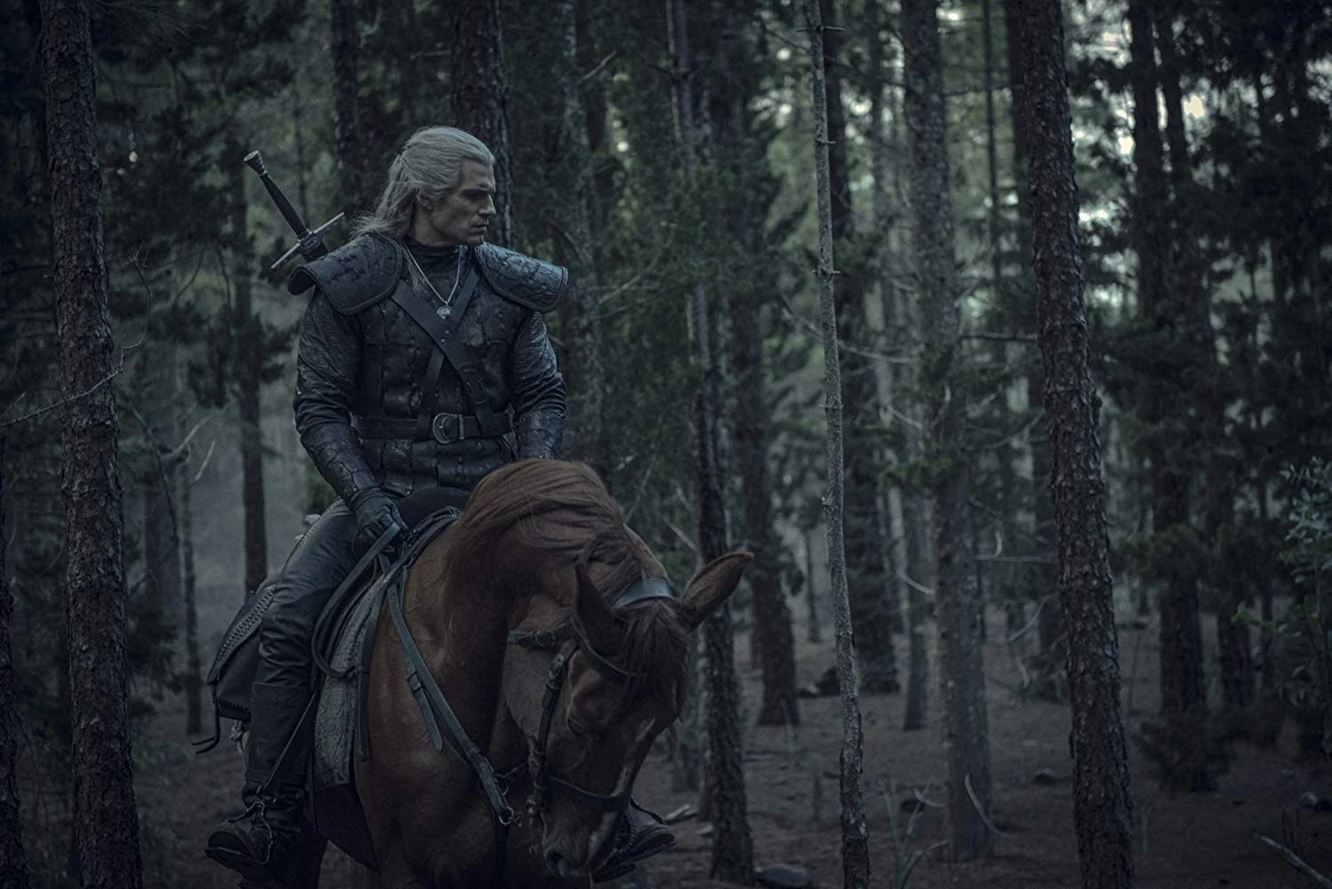 Netflix witcher geralt and roach