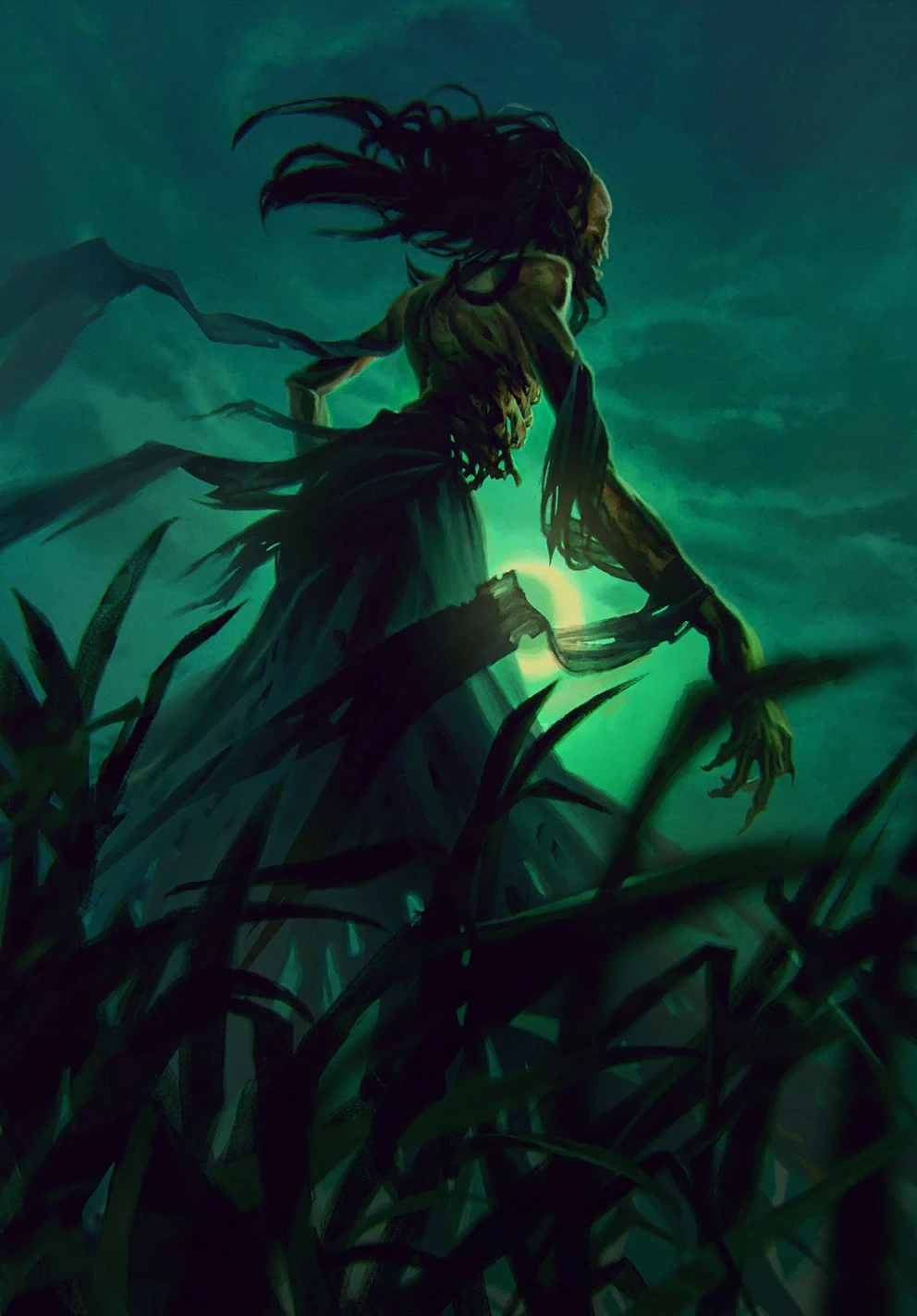 Полуночница, 