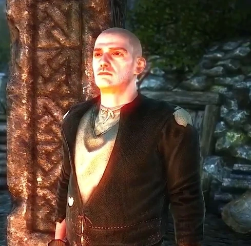 Вицек БоровикВ2