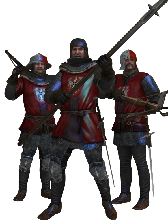 Реданские солдаты в игре 