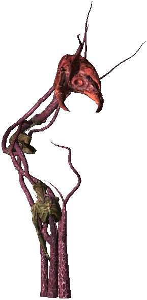 Bestiary Archespore full