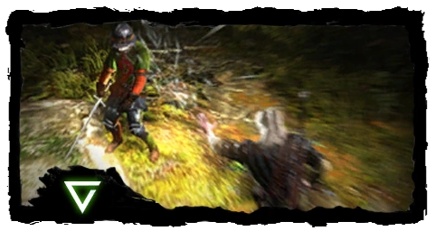 Tutorial signs axiitw2