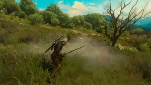 Сбитая с помощью Аарда стрела