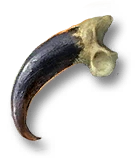 Останки драконида