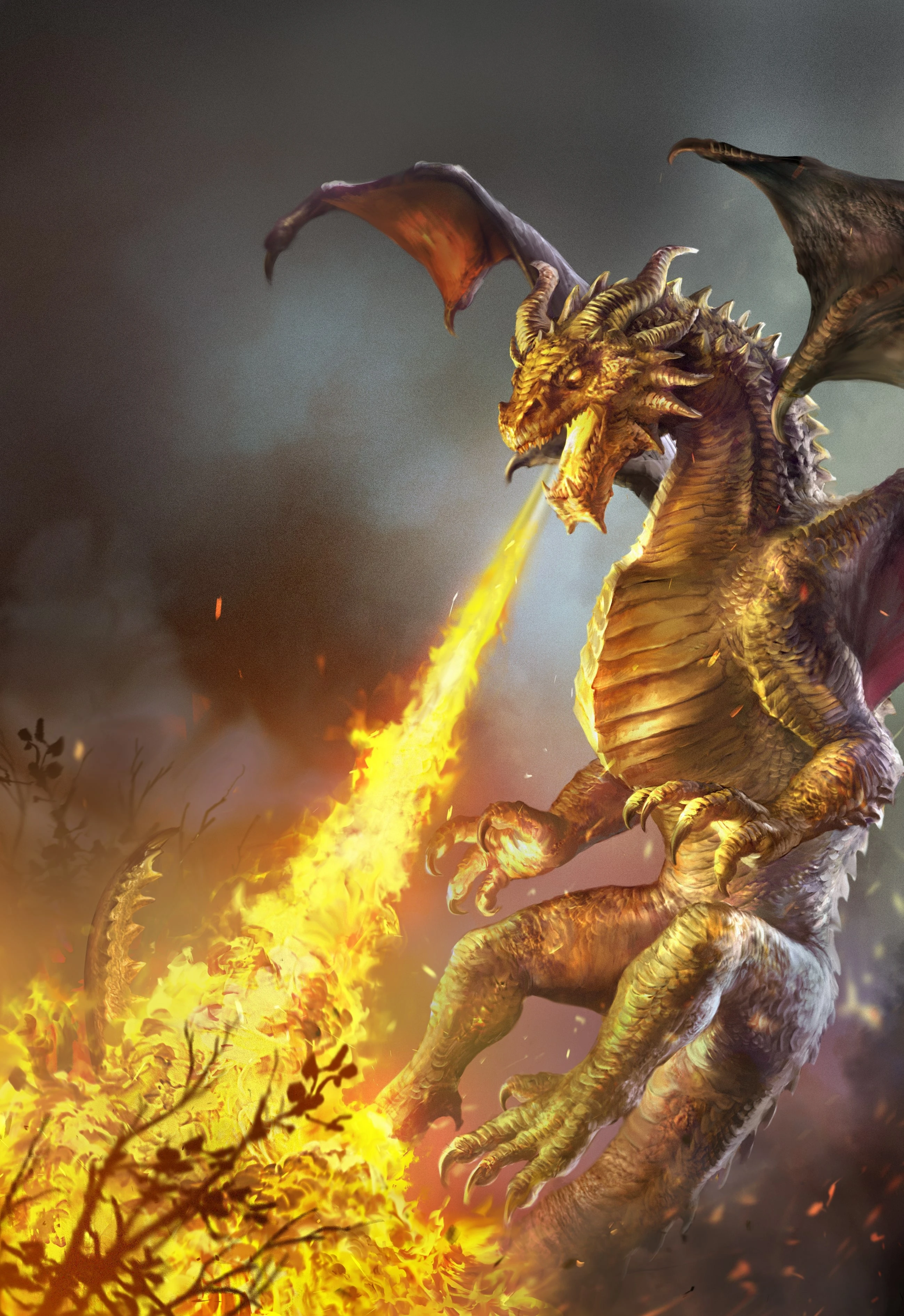 Золотой дракон, 