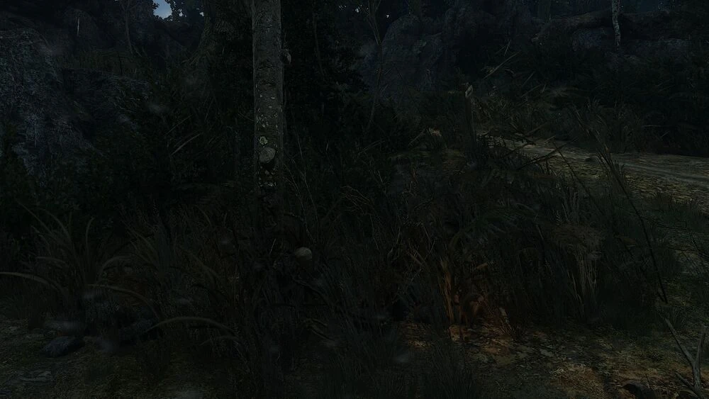 Тайная жизнь графа Ромиллы