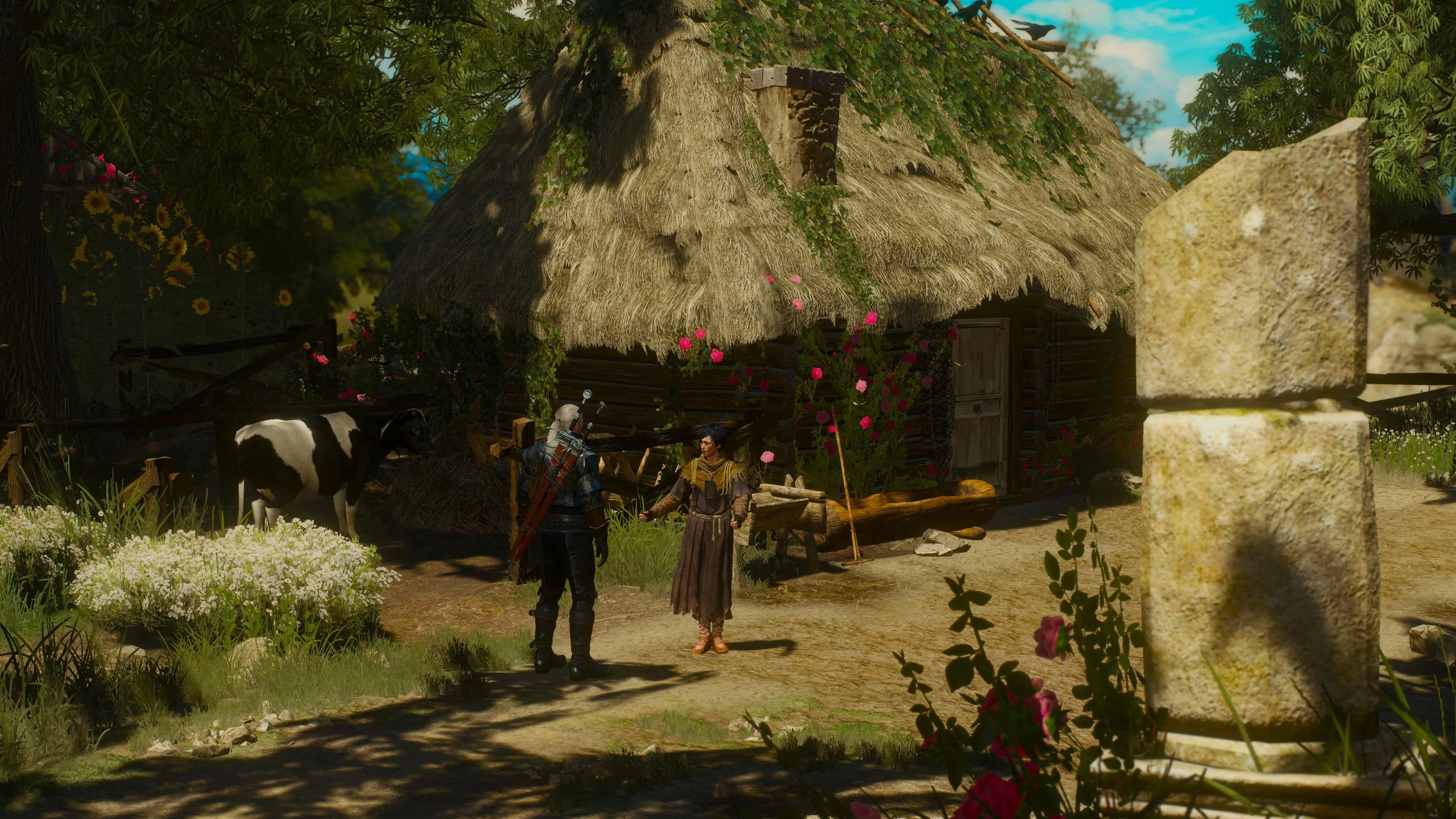 Пинастри2КВ