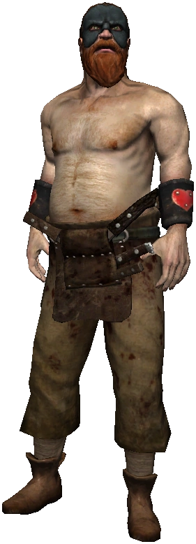 Профессиональный кулачный боецВ1