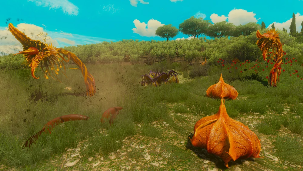 ВВ- Короната.webp 