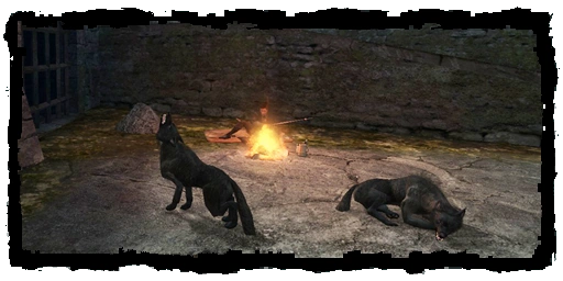 Квест голоден как волк