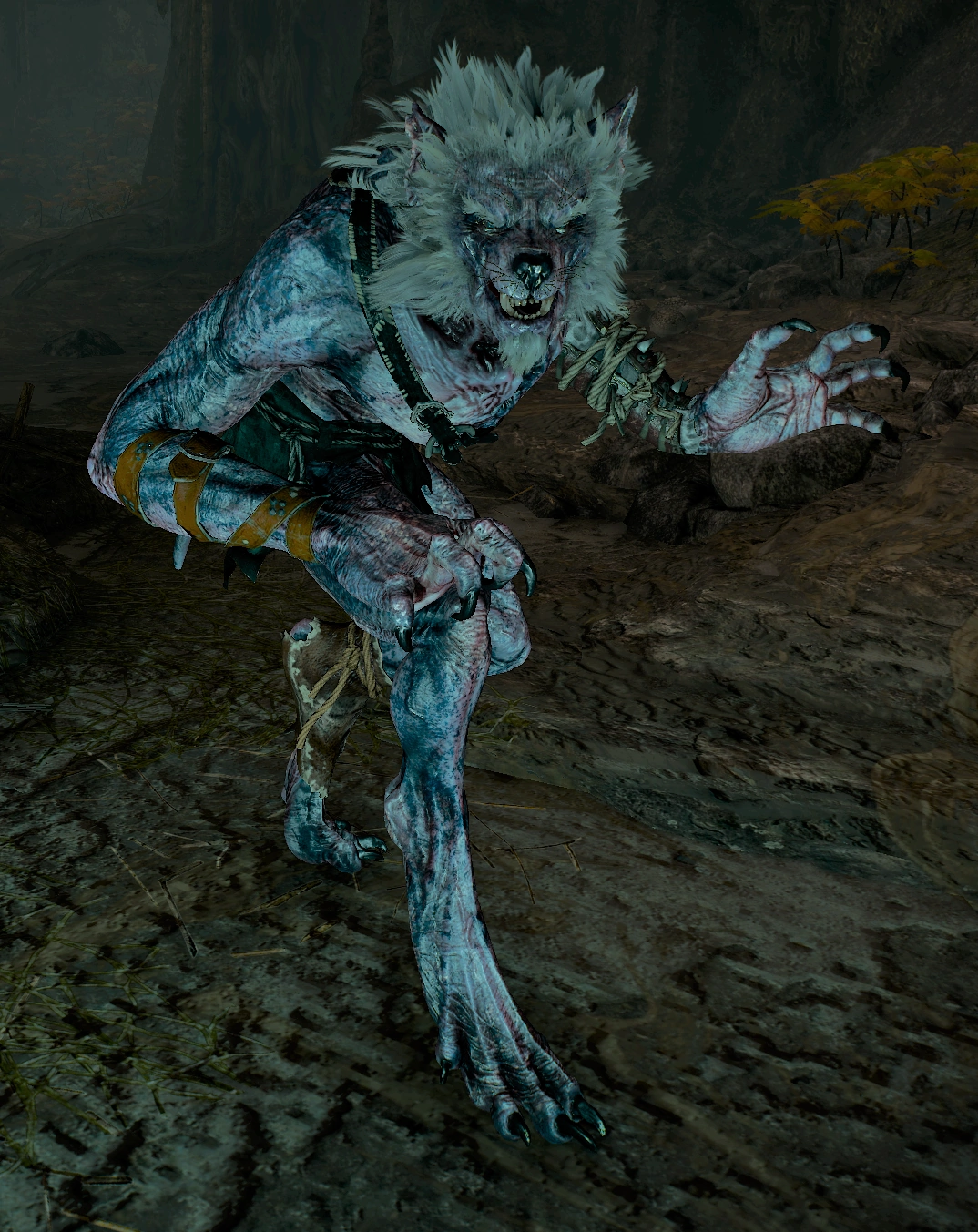 КорольВолковВ3