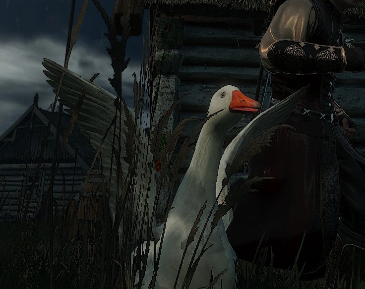 Гусь в игре