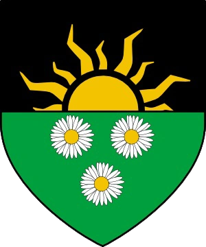 Герб нильфгаардской дол блатанны-(1)