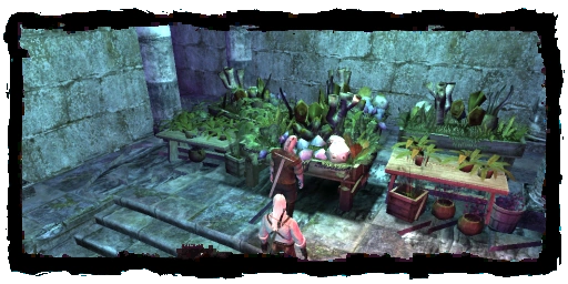 Places Witchers lab herbs