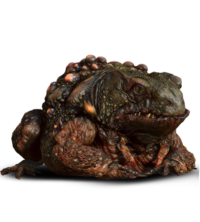 Принц-жабаВ3