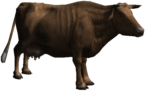 Корова-медалисткаВ1