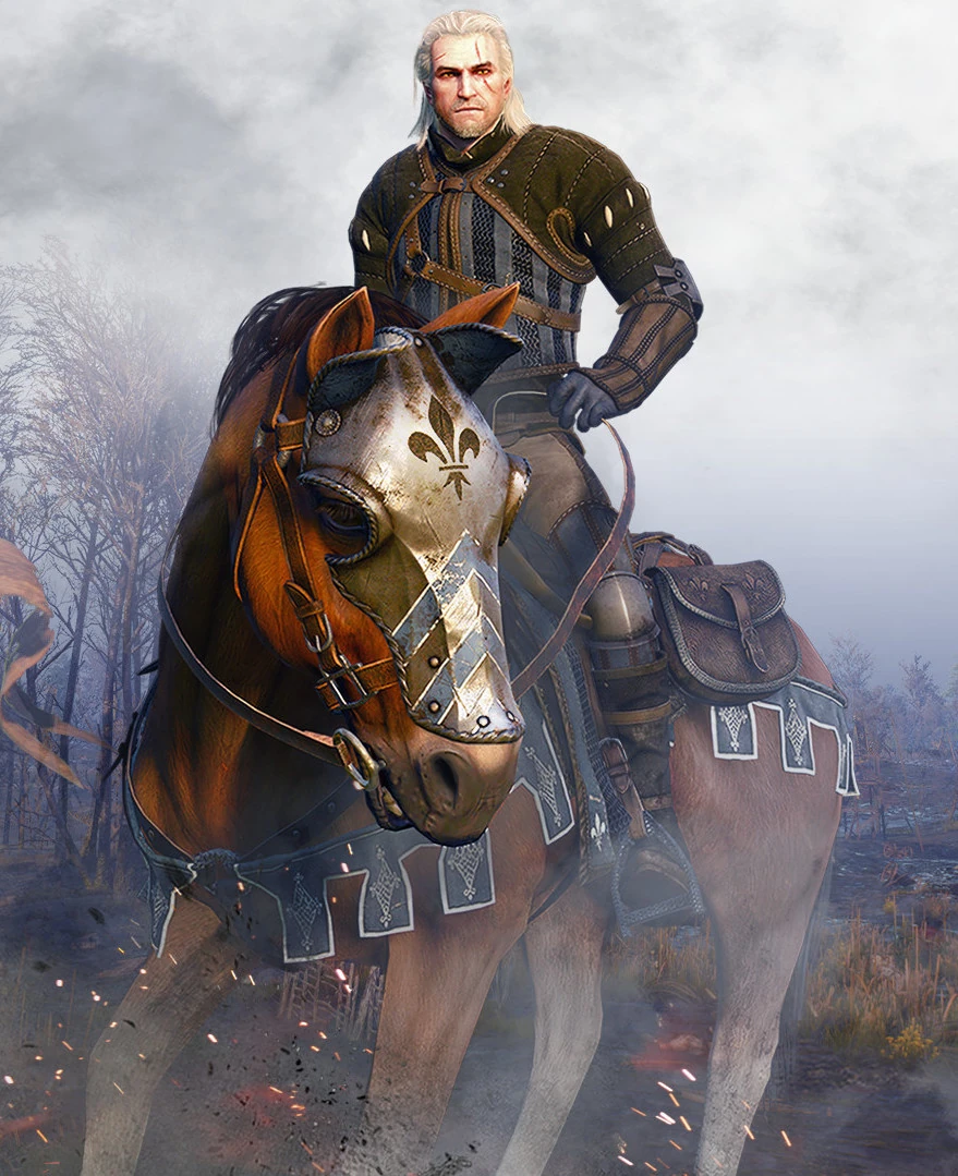 Tw3 dlc temerian armor set