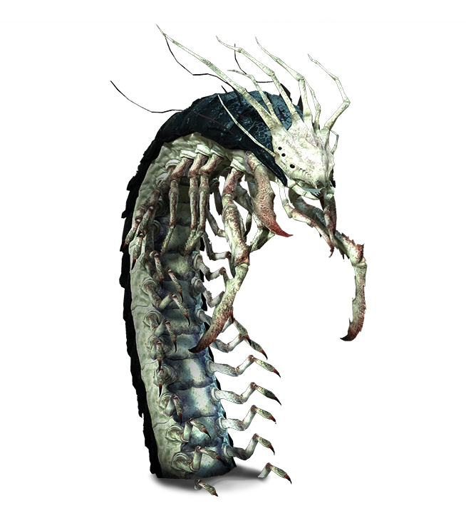 Бледная вдоваВ3